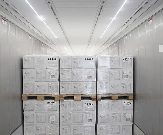 Verlichting - Containeraccessoires