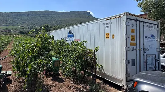 ArcticStore koelopslag Griekse wijngaarden - Koelcontainers