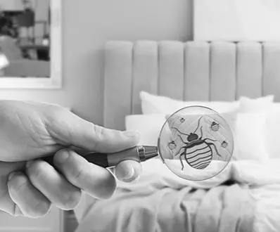 Openbare gezondheid en dienstverlening - Koelopslag