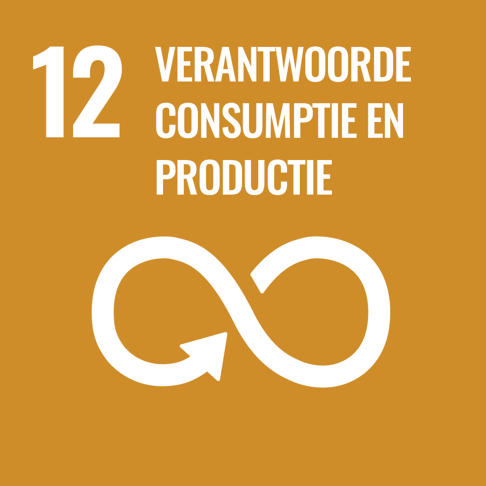 Verantwoorde consumptie en productie