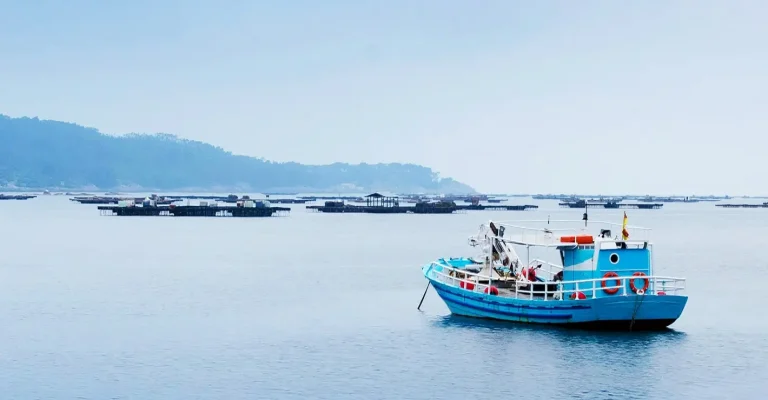 De spectaculaire comeback van tonijn naar Denemarken
