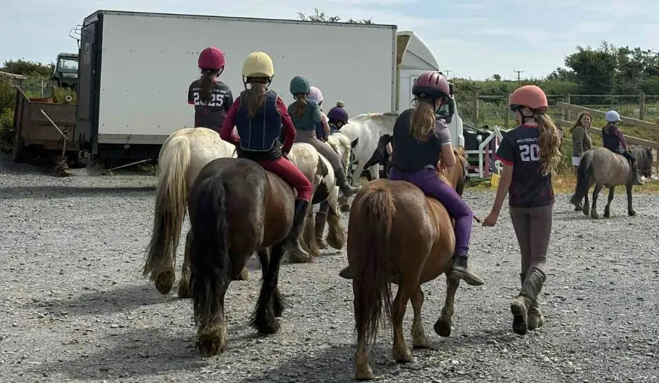 Peninsula Stable Minds – TITAN Impact, waar we kinderen en gezinnen vreugde brengen met pony's.