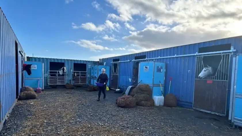 Peninsula Stable Minds – TITAN Impact, waar we kinderen en gezinnen vreugde brengen met pony's.